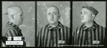 František Holub Zdroj: https://ofiary.auschwitz.org/victims/97034