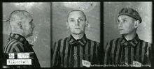 Rudolf Honč Zdroj: https://ofiary.auschwitz.org/victims/97190 