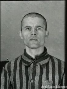 ofiary.auschwitz.org.