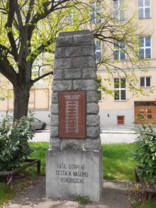 img3554.jpg