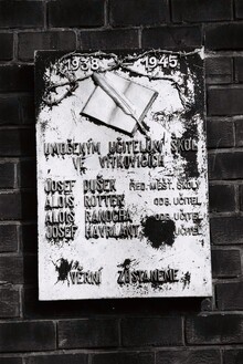 img3637.jpg