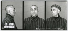 Josef Dvořák, Zdroj: ofiary.auschwitz.org