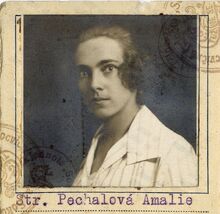 Amálie Pechalová, fotografie z&nbsp;členského průkazu Československé obce sokolské, asi rok 1933. Zdroj: soukromá rodinná sbírka, zveřejněno s&nbsp;laskavým souhlasem.